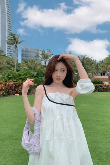 湄公河行动资源